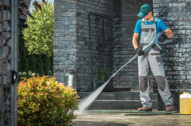 Animal Enclosure Cleaning in Arcadia, CA